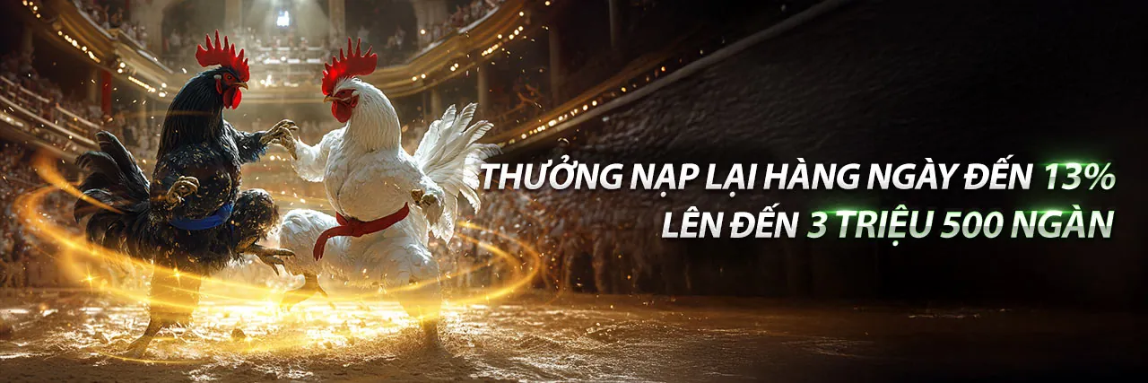 Các loại kèo đá gà trực tiếp online phổ biến